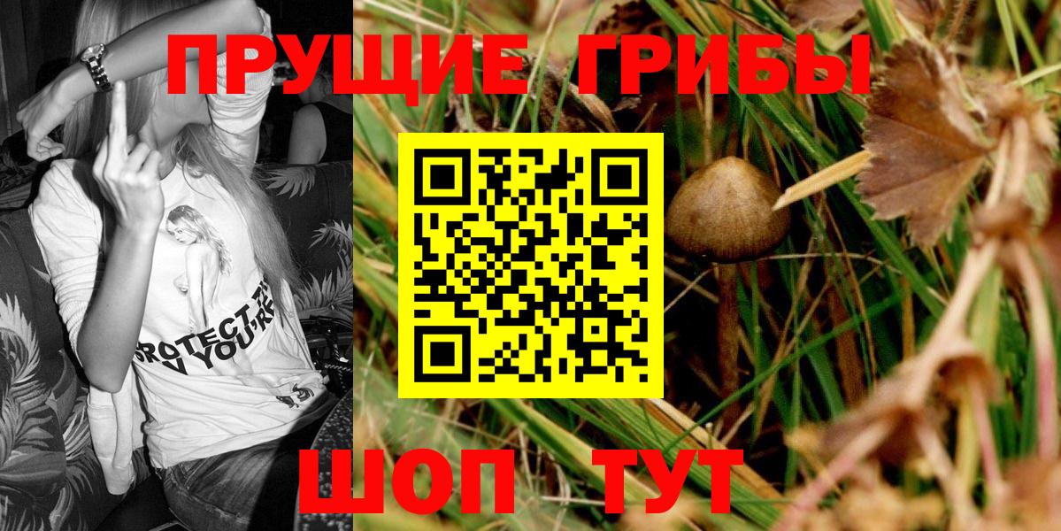 Галлюциногенные грибы Magic Shrooms Октябрьский
