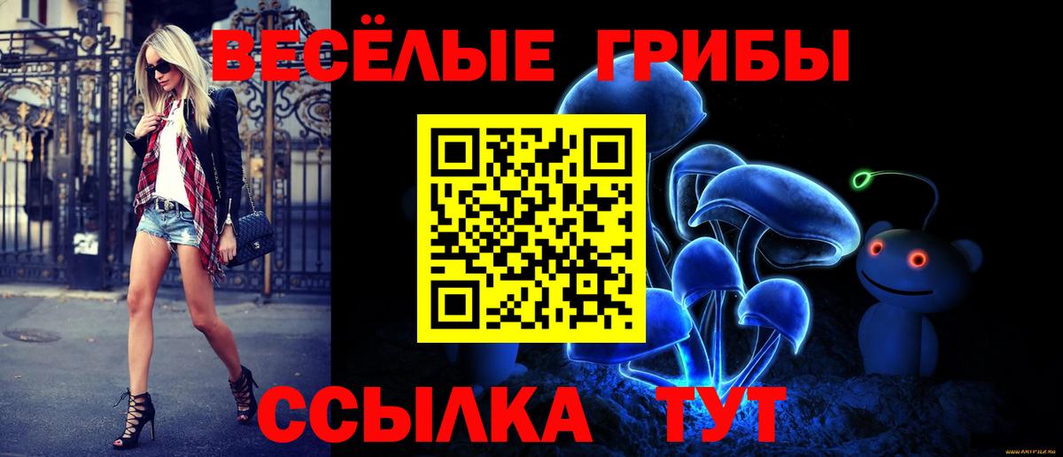 цены   Псилоцибиновые грибы GOLDEN TEACHER  Вход с VPN  Октябрьский 